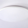 Накладной светильник Ambrella Light FZ1223