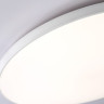 Накладной светильник Ambrella Light FZ1223