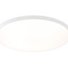 Накладной светильник Ambrella Light FZ1223