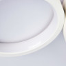 Накладной светильник Ambrella Light FL4812