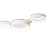 Накладной светильник Ambrella Light FL4812