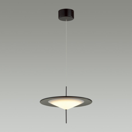 Подвесной светильник Odeon Light 5012/16L
