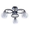 Накладная люстра ARTE Lamp A1604PL-3BK