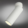 Накладной светильник Omnilux OML-101409-12