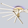Накладной светильник Ambrella Light FL6244