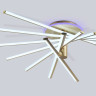 Накладной светильник Ambrella Light FL6244