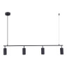 Подвесная люстра ST-Luce SL1213.403.04