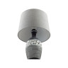 Настольная лампа LUMION 8118/1T