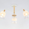 Люстра на штанге Ambrella Light TR4737