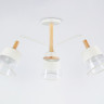 Люстра на штанге Ambrella Light TR4737