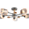 Люстра на штанге Ambrella Light TR3033233
