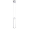 Подвесной светильник Ambrella Light FL5260