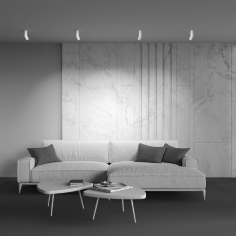 Накладной светильник Maytoni Technical C027CL-L10W