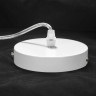 Подвесная люстра Lussole LSP-8268-G