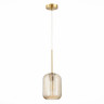 Подвесной светильник ST-Luce SL1154.333.01