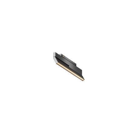Светильник на шине Maytoni Technical TR242-2-12W3K-B