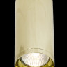 Накладной светильник Maytoni Technical C010CL-01G