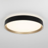 Накладной светильник Citilux CL751351G