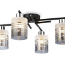 Накладная люстра Ambrella Light TR303212