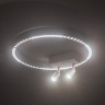Спот Ambrella Light FL5808