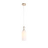 Подвесной светильник ST-Luce SL1402.253.01
