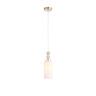Подвесной светильник ST-Luce SL1402.253.01