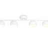 Накладная люстра Ambrella Light TN71027