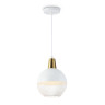 Подвесной светильник Ambrella Light TR8502