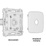 Розетка Ambrella Volt MO213010