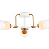 Накладной светильник Ambrella Light TR303321