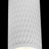 Накладной светильник Maytoni Technical C036CL-01W