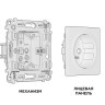 Розетка Ambrella Volt MA506010