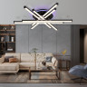 Накладной светильник Ambrella Light FL6272