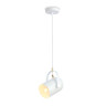 Подвесной светильник Ambrella Light TR8205