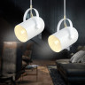 Подвесной светильник Ambrella Light TR8205