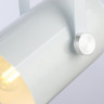 Подвесной светильник Ambrella Light TR8205