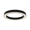 Накладной светильник Maytoni Technical C093CL-45W3K-B