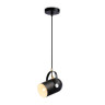 Подвесной светильник Ambrella Light TR8206