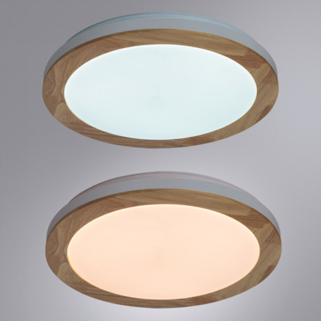 Накладной светильник ARTE Lamp A2685PL-72WH