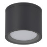 Накладной уличный светильник ST-Luce SL9006.702.01