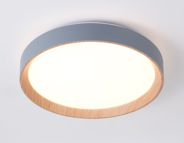 Накладной светильник Ambrella Light FZ1320