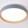 Накладной светильник Ambrella Light FZ1320