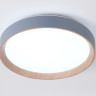 Накладной светильник Ambrella Light FZ1320