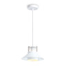 Подвесной светильник Ambrella Light TR8171