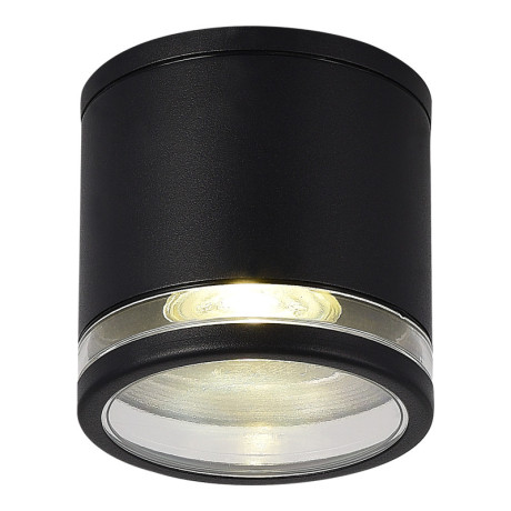 Накладной уличный светильник ST-Luce SL9009.402.01