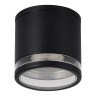 Накладной уличный светильник ST-Luce SL9009.402.01