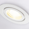 Влагозащищенный светильник Ambrella Light TN1150
