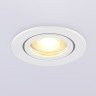 Влагозащищенный светильник Ambrella Light TN1150