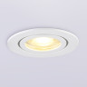 Влагозащищенный светильник Ambrella Light TN1150