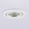 Влагозащищенный светильник Ambrella Light TN1150